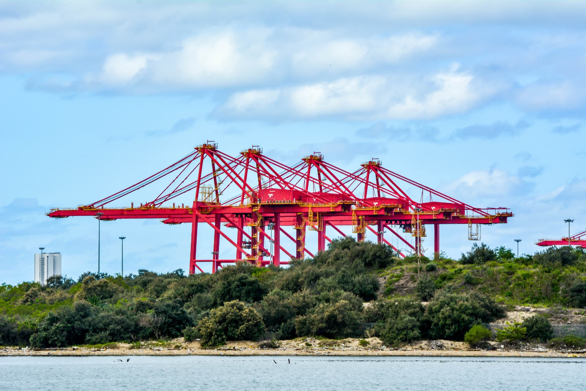 Red ship-to-shore container cranes at a South African port